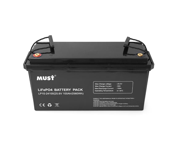 Акумулятор MUST LiFePO4 LP1500-24100 24V 100Ah