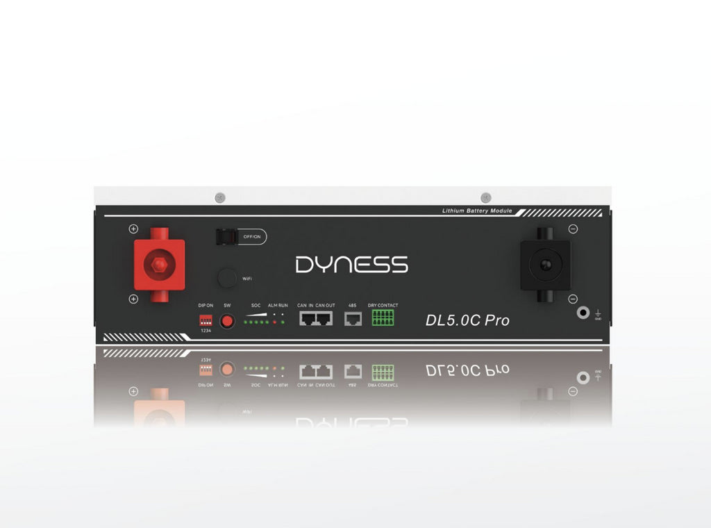 Акумуляторна батарея Dyness DL5.0C Pro - 5кВ*год 48В (З підігрівом)