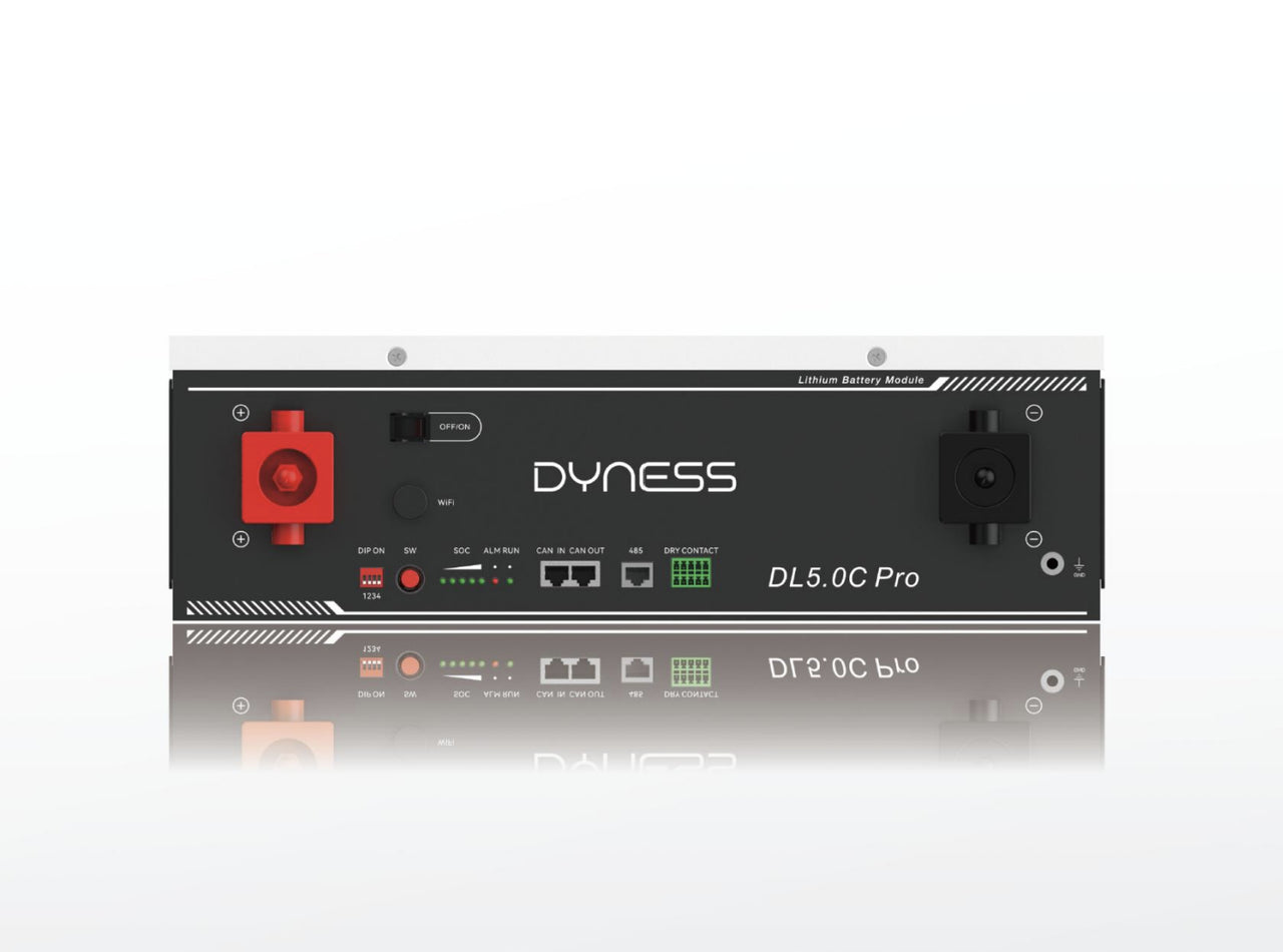Акумуляторна батарея Dyness DL5.0C Pro - 5кВ*год 48В (З підігрівом)