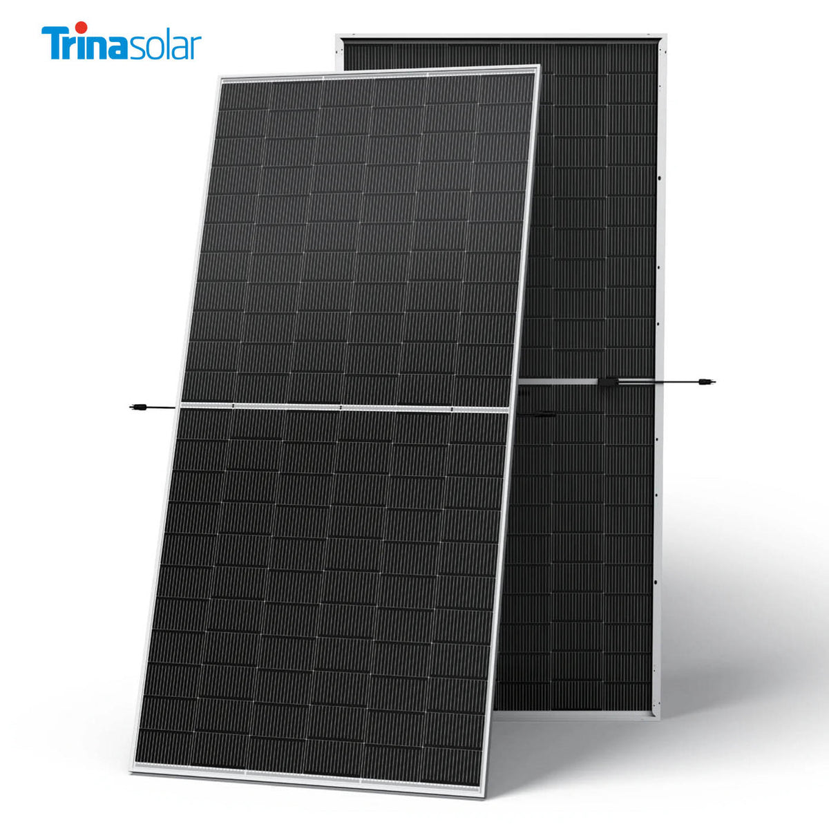 Сонячна панель Trina Solar TSM-NEG19RC.20 620Вт N-type i-TOPCon Bifacial Dual Glass