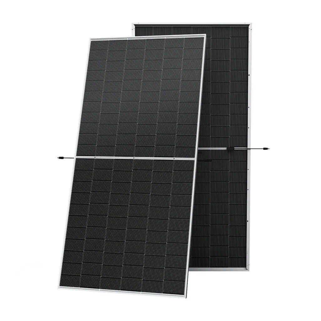 Двостороння сонячна панель Trina TSM-710M NEG21C.20 Vertex N Bifacial 710Вт